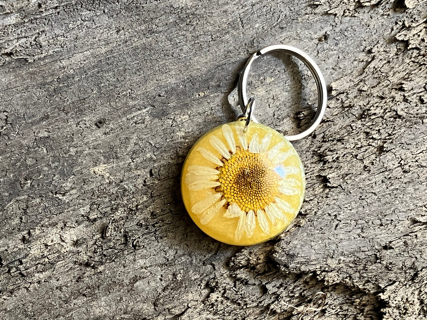 Leucanthemum Yellow Keychain