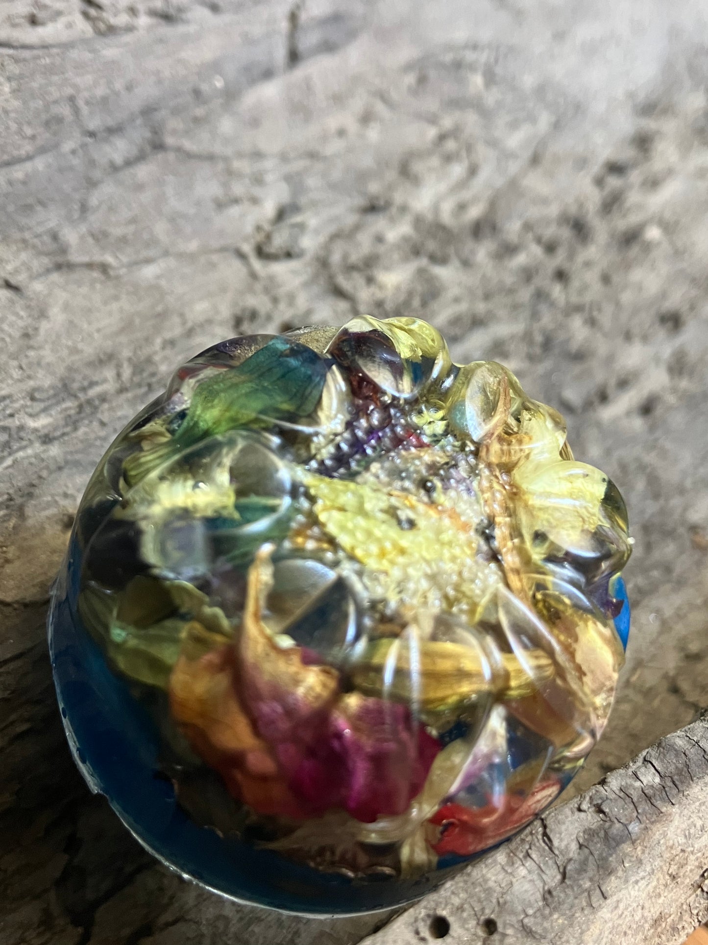Salvia mix in resin Drawer Knob