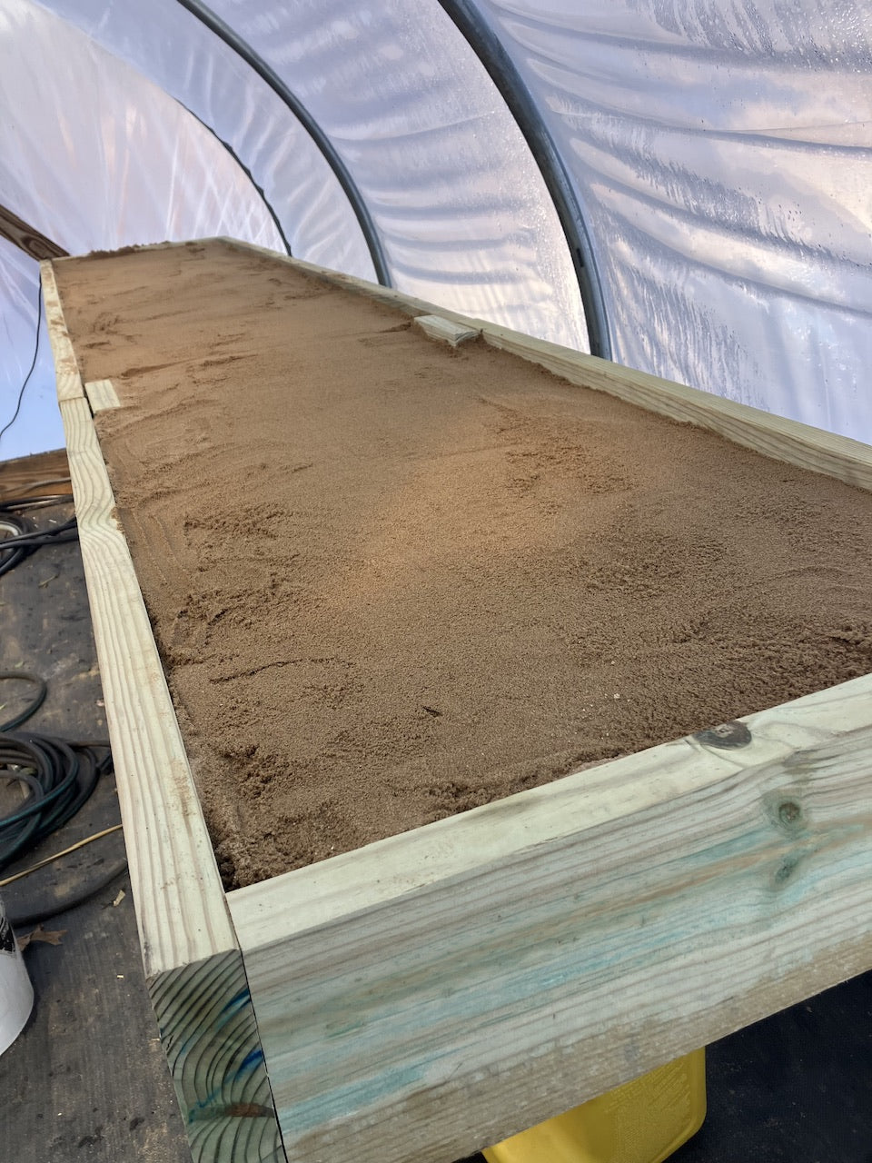 Starting Seeds in Winter: Our Heated Bench Method for Early Blooms