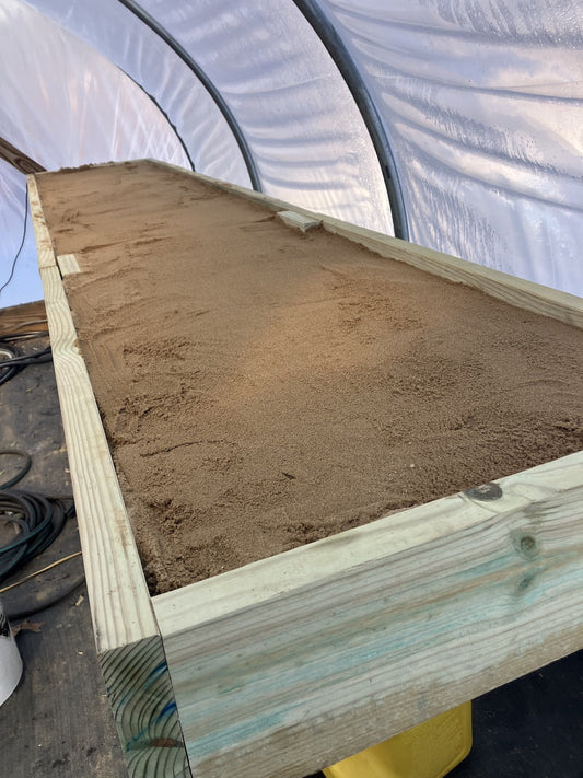 Starting Seeds in Winter: Our Heated Bench Method for Early Blooms