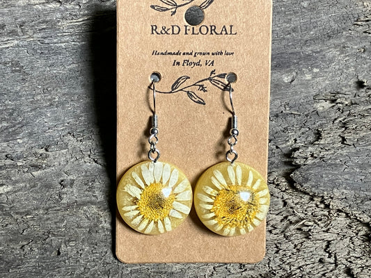 Leucanthemum resin Earring