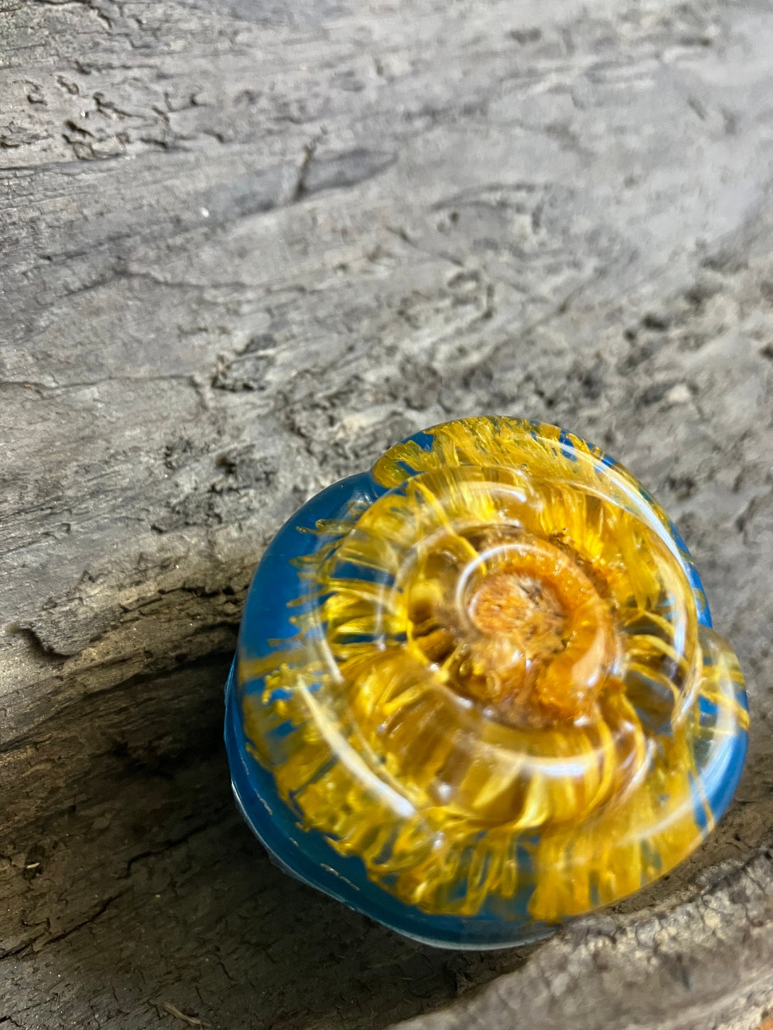 Eco-friendly floral resin hardware with preserved Calendula bloom