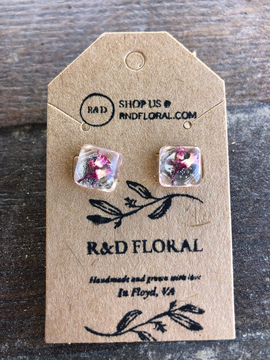Gypsophila studs