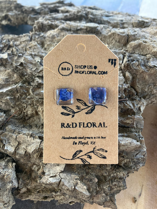 Bachelor Button studs