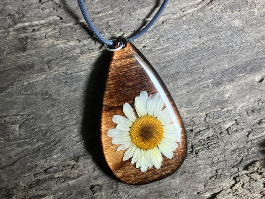 Leucanthemum Pendant