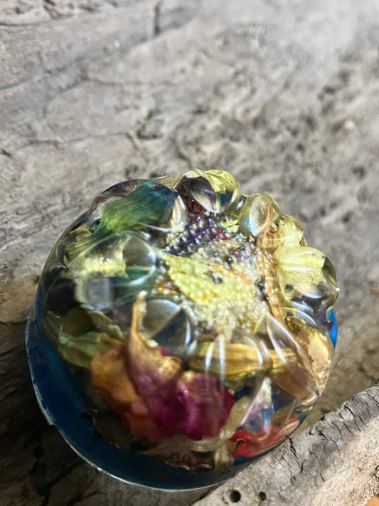 Salvia mix in resin Drawer Knob