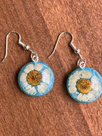 Real Daisy Round resin Earrings 3