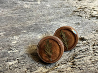 Handmade wooden stud earrings with real pressed fern encased in resin by R & D Floral.
