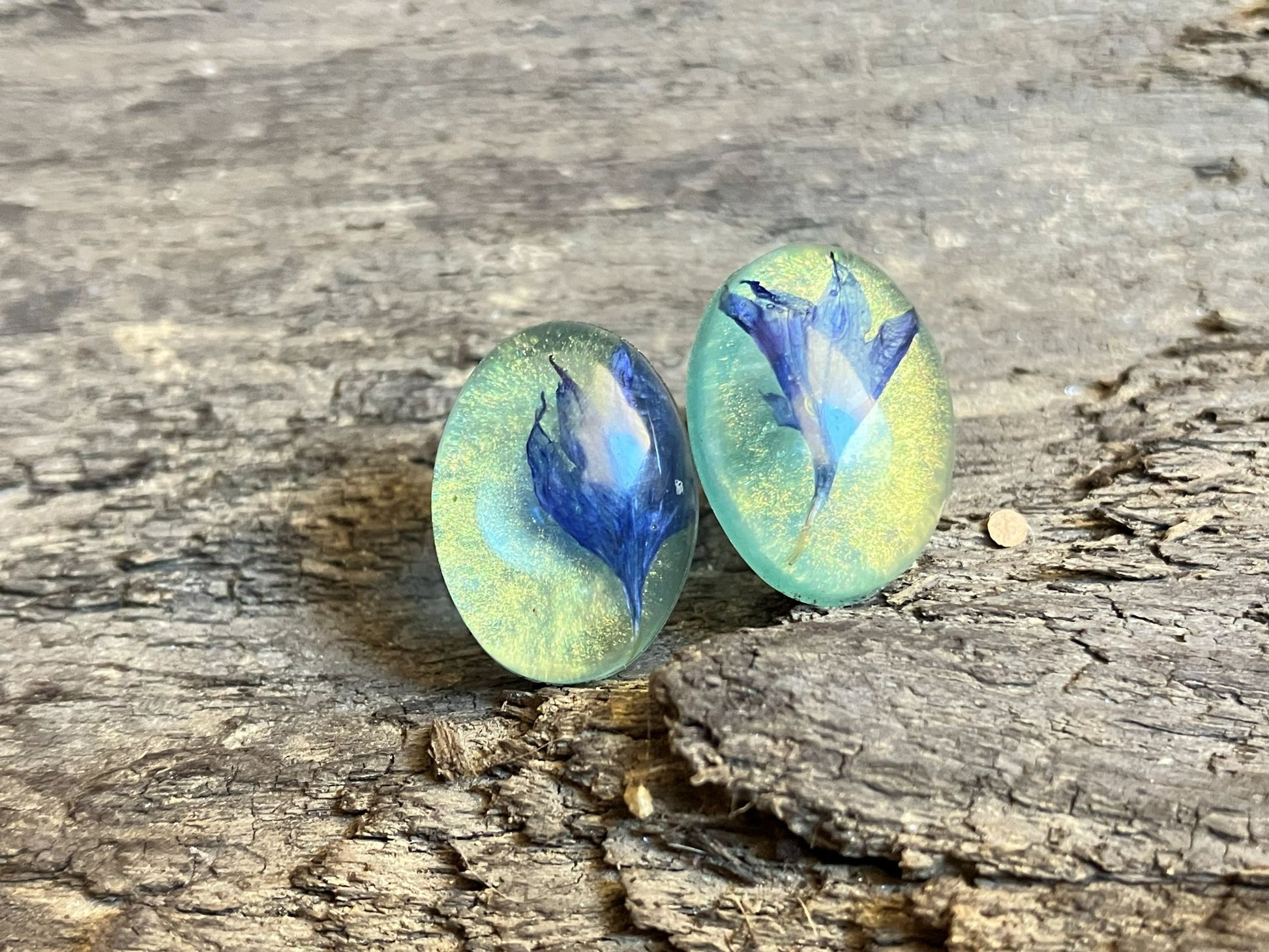 Bachelor’s Button resin stud earrings handcrafted by R & D Floral, featuring real blue flowers encased in clear resin.