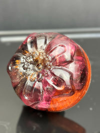 Handcrafted drawer knob with a preserved Zinnia bloom in dark pink and burnt orange, encased in clear resin.