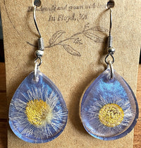 Front view of blue shimmer teardrop resin earrings on display card with pressed daisy inside