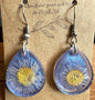 Front view of blue shimmer teardrop resin earrings on display card with pressed daisy inside