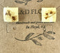 Elderberry square resin stud earrings with pressed elderberry blossoms in silver square bezels