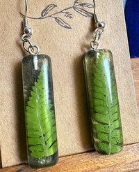 Clear resin bar drop earrings with pressed fern frond displayed on wooden earring card