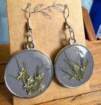 Grey resin round earrings with pressed Queen Anne's Lace flowers displayed on wooden earring card