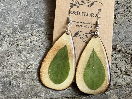 Baptisia Leaf Medium Wooden Earrings
