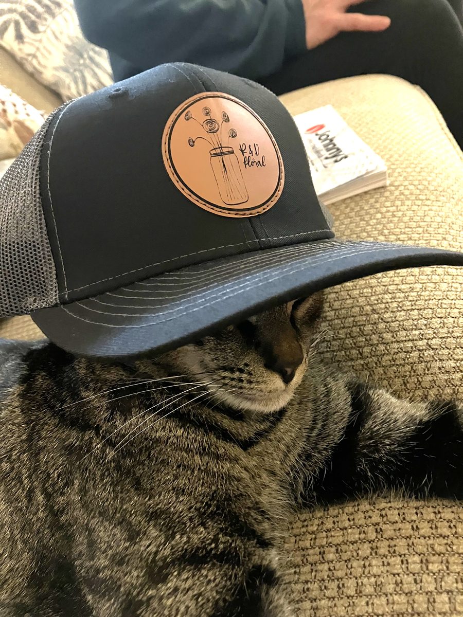Mr. Meowgie, R&D Floral's studio cat